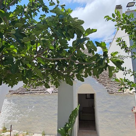 River Trulli Oasi Di Pace In Sito Unesco Αλμπερομπέλο Εξωτερικό φωτογραφία