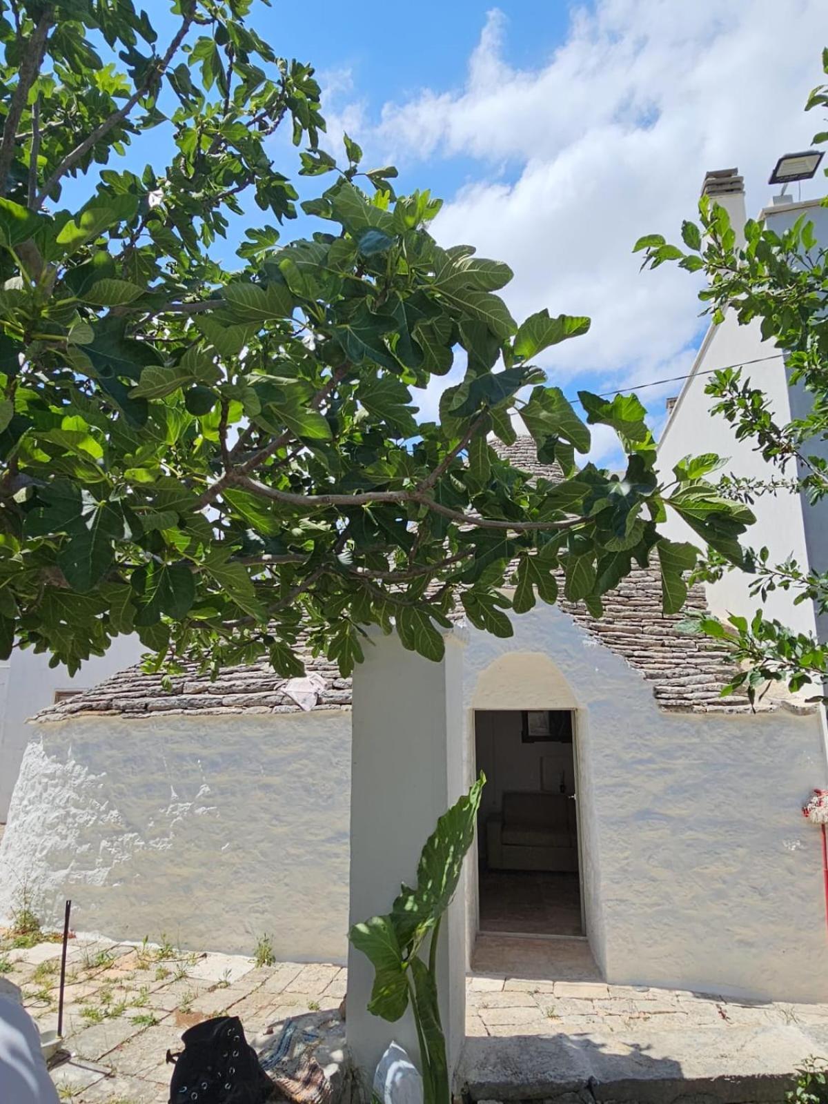 River Trulli Oasi Di Pace In Sito Unesco Αλμπερομπέλο Εξωτερικό φωτογραφία