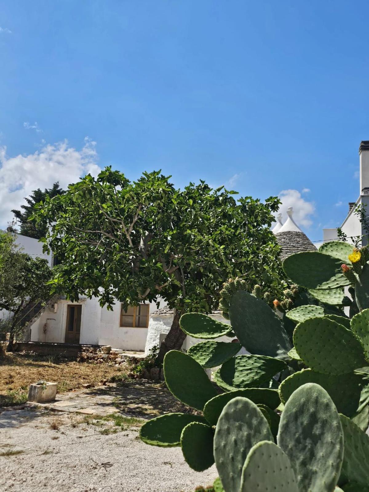 River Trulli Oasi Di Pace In Sito Unesco Αλμπερομπέλο Εξωτερικό φωτογραφία