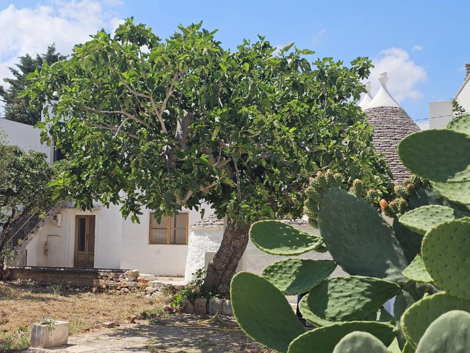 River Trulli Oasi Di Pace In Sito Unesco Αλμπερομπέλο Εξωτερικό φωτογραφία