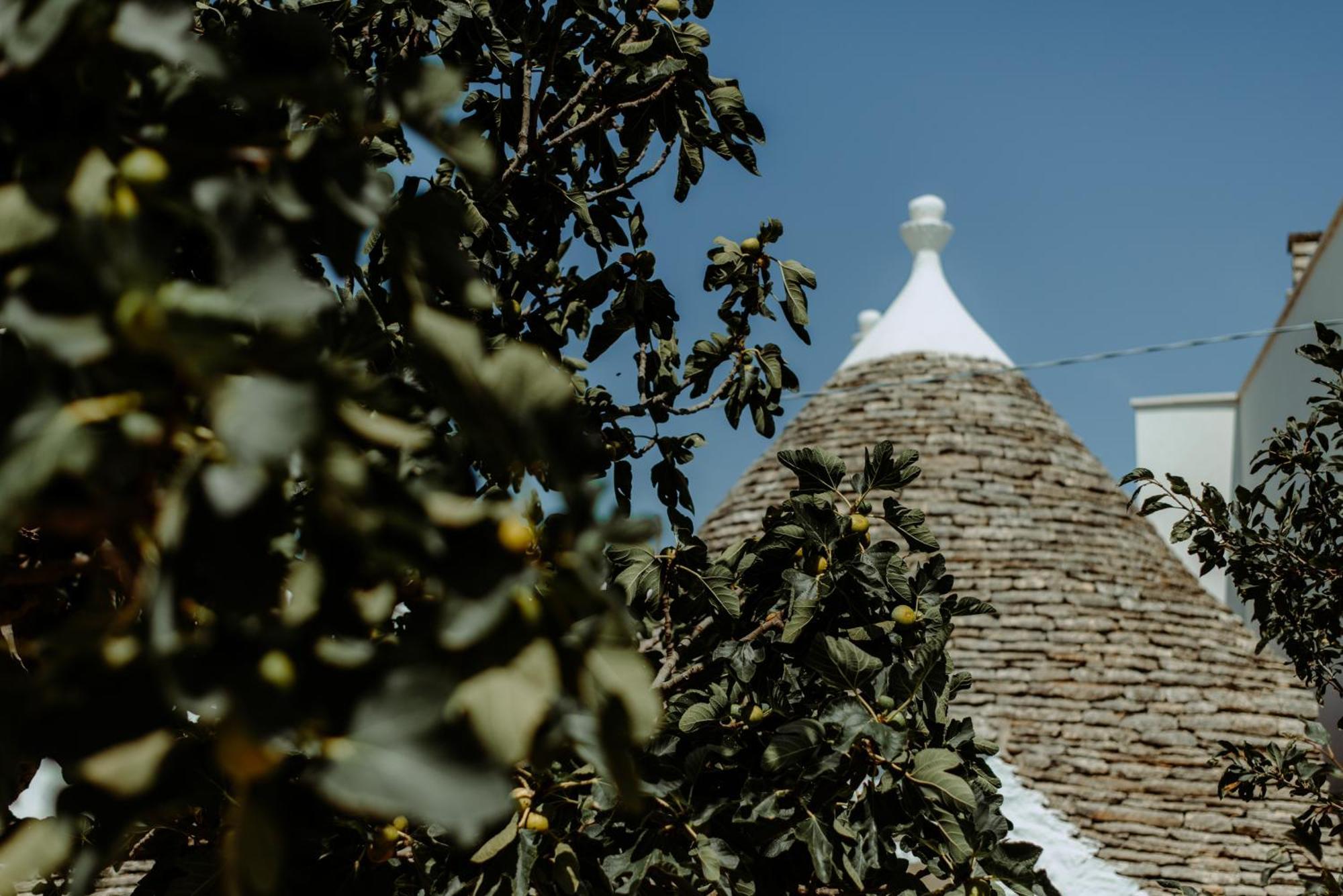 River Trulli Oasi Di Pace In Sito Unesco Αλμπερομπέλο Εξωτερικό φωτογραφία